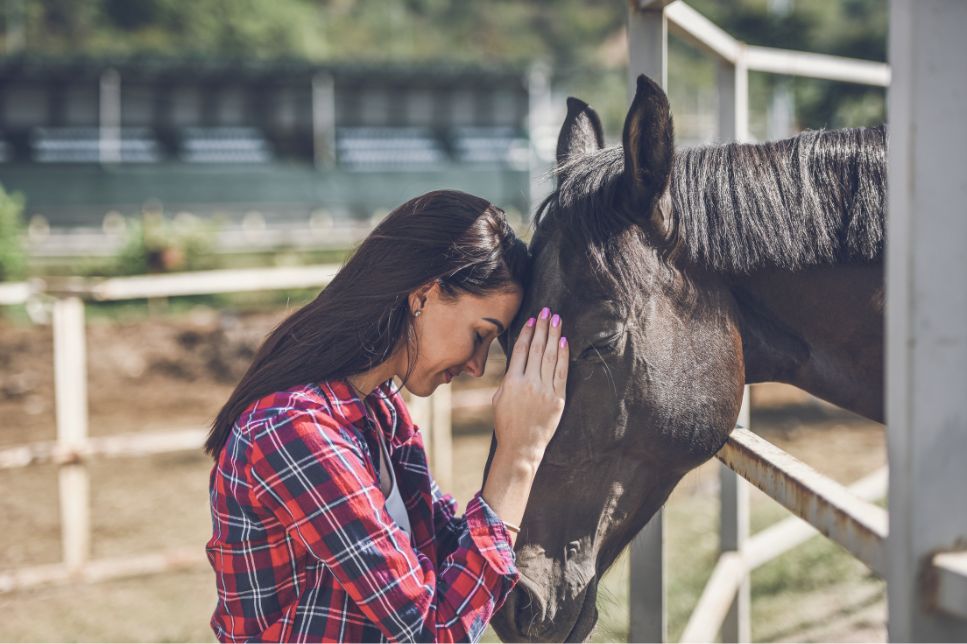 Care este cea mai frecventă boală a cailor?
