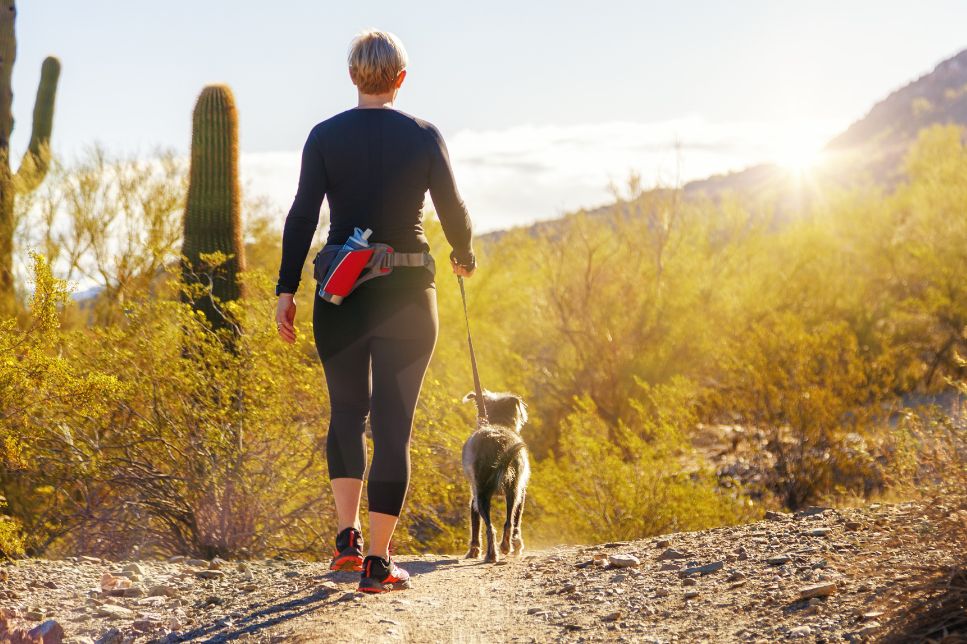 DogTrekking - ce este drumeția cu câini și cum se începe?