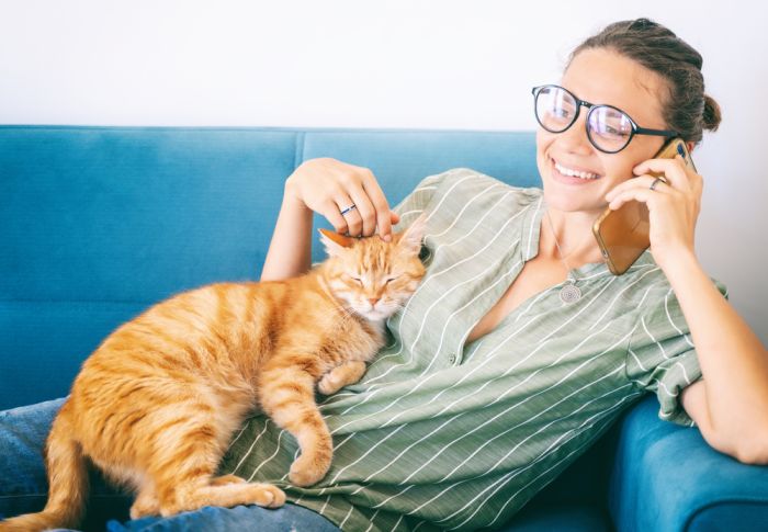 Limbajul trupului la pisici: ce ne spune felina prin intermediul cozii?