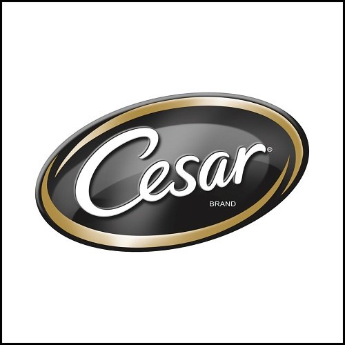 CESAR logo