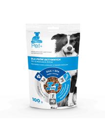 thePet+ Recompensă pentru câini activi 100 g
