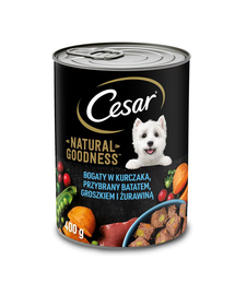 CESAR Hrana umeda pentru caini 6 x 400 g bogat in pui, cartofi dulci, mazare si merisoare