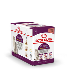 ROYAL CANIN Sensory Smell, Taste, Feel 12 x 85 g Hrana umeda pisici, stimulare senzoriala