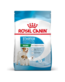 ROYAL CANIN Mini Starter Mother & Babydog hrana dietetica pentru catea mama si puii pana la 8 saptamani de talie mica 1 kg