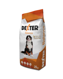 REX Dexter Balance 20kg hrana cu vitamine pentru caini