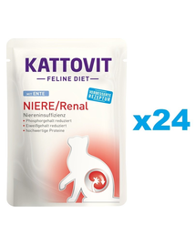 KATTOVIT Feline Diet Niere/Renal hrana umeda dietetica pentru pisici cu afectiuni ale rinichilor, cu rata  24 x 85 g