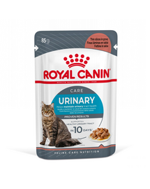 Royal Canin Urinary Care 12 x 85 g in sos, hrana umeda pisica pentru sanatatea tractului urinar