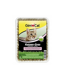 GIMCAT Grass 150 g iarba pentru pisici