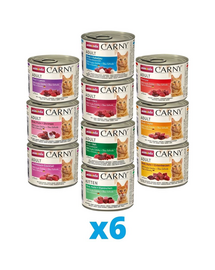 ANIMONDA Carny MIX hrana umeda pentru pisici 10 arome 60 x 200 g
