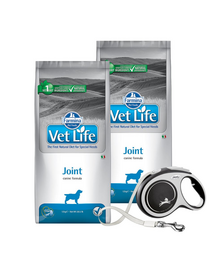 FARMINA Vet Life Dog Joint 2 x 12 kg hrana caini pentru articulatii sanatoase + FLEXI New Comfort L Tape 8 m GRATIS