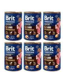 BRIT Premium by Nature Lamb and buckwheat 6x400 g set conserva hrana caini, miel si hrisca
