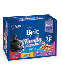 BRIT Premium Cat pachet plicuri hrana pisica family plate 12x100 g
