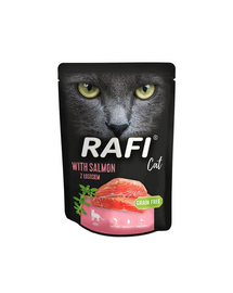 DOLINA NOTECI Rafi Cat hrana umeda cu somon pentru pisici 300 g