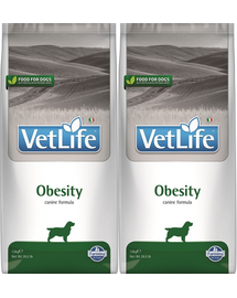 FARMINA Vet Life Dog Obesity 2x12 kg dieta pentru caini cu diabet