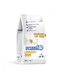 FORZA 10 Urinary Active Cat Dietă nutraceutică pentru probleme cu sistemul urinar 454 g