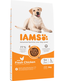 IAMS For Vitality Hrana uscata cu pui pentru cainii adulti de talie mare 5kg