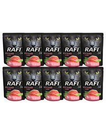 DOLINA NOTECI Rafi Cat mancare umeda pisici, cu somon 10x300 g