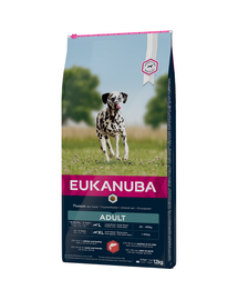 EUKANUBA Dry Base Adult Large Breeds Salmon & Barley hrana uscata caini adulti talie mare, somon si orz 12 kg