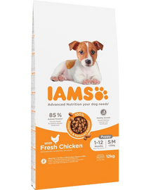 IAMS Advanced Nutrition Puppy Junior Small Medium Chicken 12kg hrana cu pui pentru catei