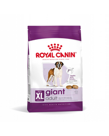 Royal Canin Giant Adult hrana uscata pentru caini adulti de talie foarte mare 15 kg