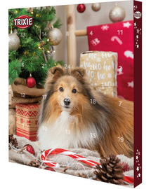 TRIXIE Calendar Advent cu recompense pentru caini