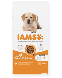 IAMS Advanced Nutrition Puppy Junior Large Breed Chicken 12 kg hrana catei talie mare