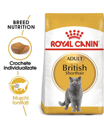 ROYAL CANIN British Shorthair 3 x 400 g hrana uscata pisica British