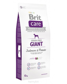 BRIT Care Grain-Free Giant Salmon & Potato hrana uscata caini de talie foarte mare, somon si cartof 1 kg