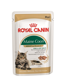 Royal Canin Maine Coon Adult hrana umeda pisica, 12 x 85 g
