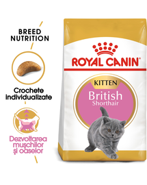 Royal Canin British Shorthair Kitten hrana uscata pisica junior, 2 kg