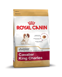 ROYAL CANIN Cavalier King Charles Junior Hrana uscata catel rasa Cavalier King Charles 1,5 kg