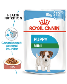 Royal Canin Mini Puppy hrana umeda caine junior, 12 x 85 g
