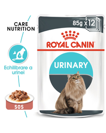 Royal Canin Urinary Care Adult hrana uscata pisica pentru 