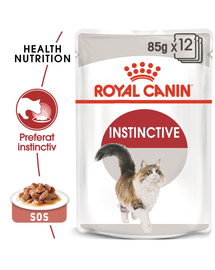 Royal Canin Instinctive In Gravy Adult hrana umeda in sos pentru pisica, 12 x 85 g