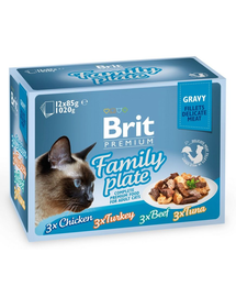 BRIT Premium Cat Family Plate hrana pisica file in sos, diverse arome 12x85 g