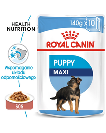 Royal Canin Maxi Puppy hrana umeda caine junior, 10 x 140 g