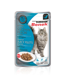 BENEK Super Hrana umeda pentru pisici adulte, fileuri pastrav in sos 85 g