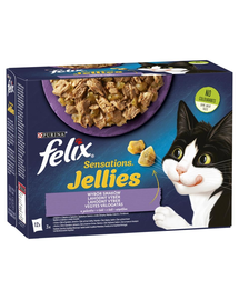 FELIX Sensations Hrana umeda jeleu pentru pisici adulte 72x85g