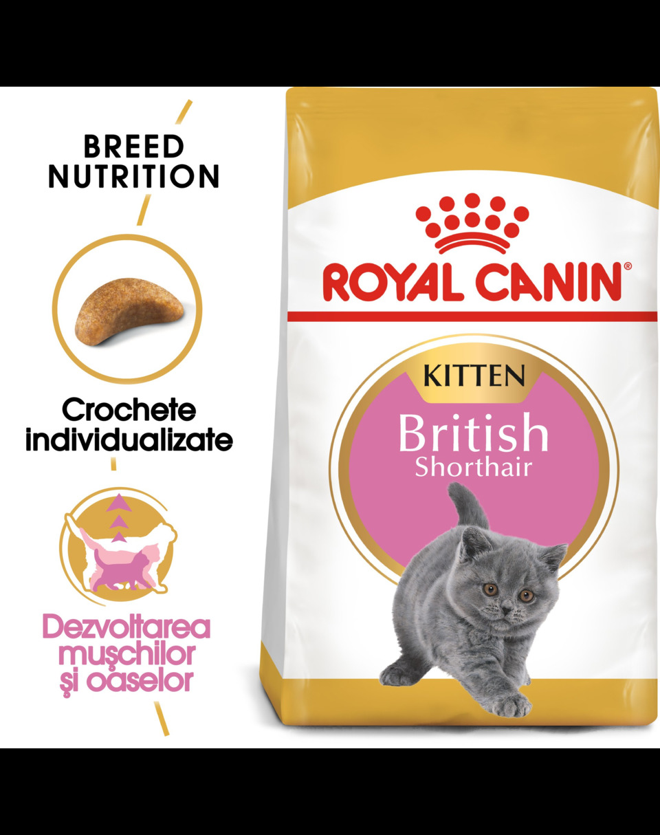 Royal canin kitten outlet 20kg