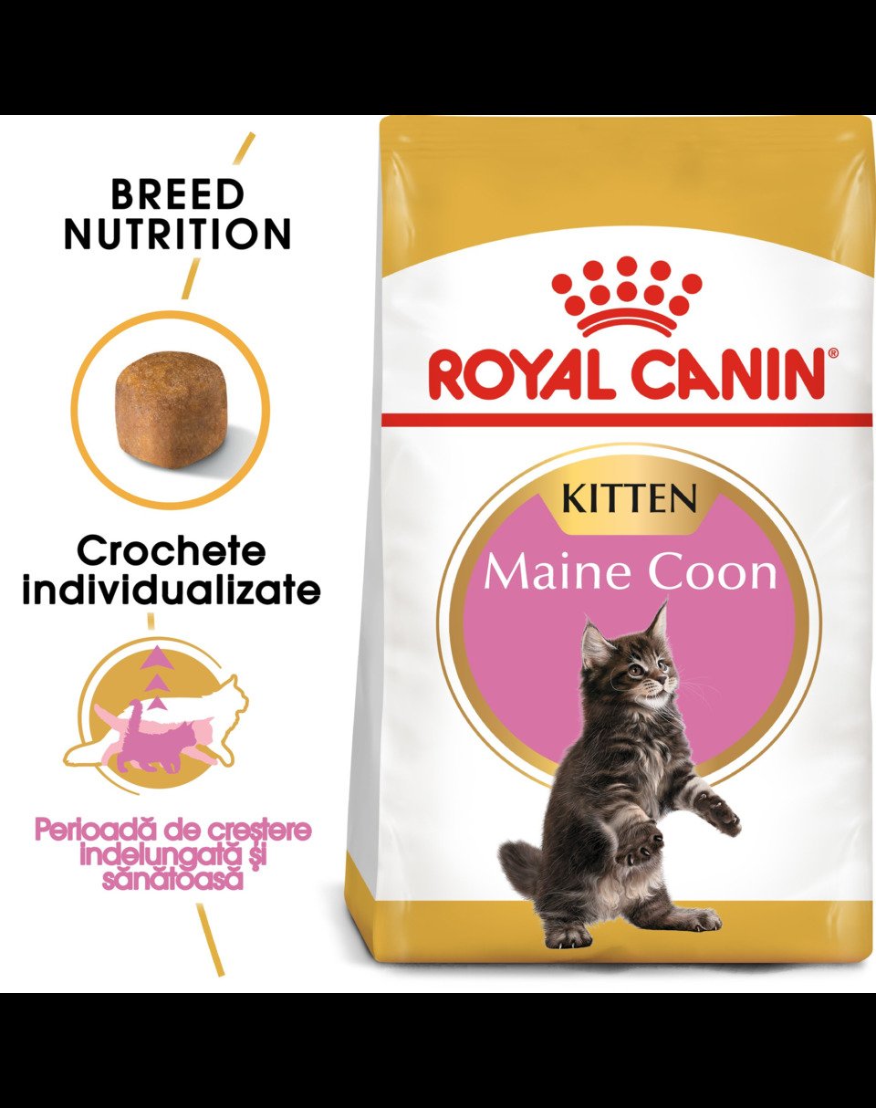 royal canin kitten maine coon 4 kg