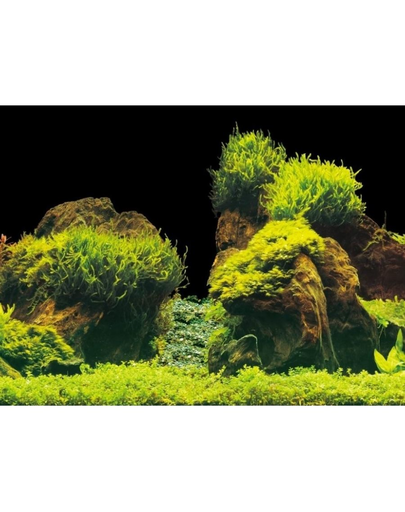 AQUA NOVA Fundal acvariu fata-verso, marime S, 60x30cm, roci / plante