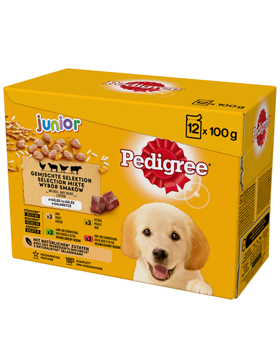 PEDIGREE Junior Hrana umeda caini junior, mix arome cu orez 12x100g