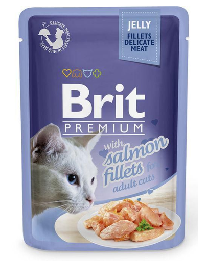 BRIT Premium Fillets in Jelly Set hrana umeda pentru pisici adulte, cu somon in aspic 24 x 85g Brit imagine 2022