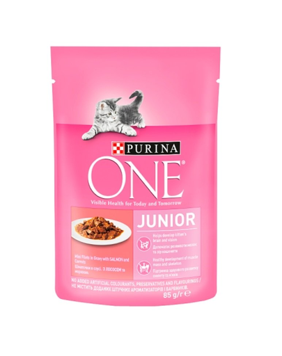 PURINA ONE Junior Hrana uscata pentru pisoi, cu somon 24 x 85 g
