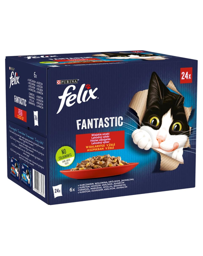 FELIX FANTASTIC Hrana umeda cu diverse tipuri de carne pentru pisici adulte 24x85g