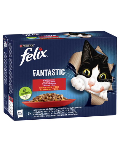 FELIX FANTASTIC Hrana umeda cu diverse tipuri de carne pentru pisici adulte12x85g