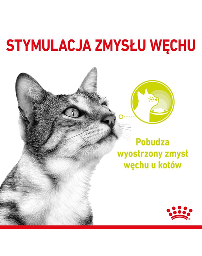 ROYAL CANIN Sensory Smell Gravy hrana umeda pentru pisici, in sos 12 x 85 g