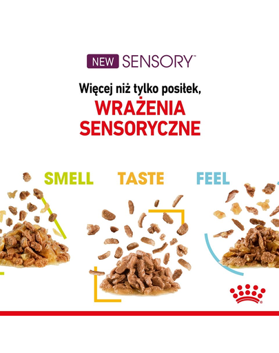 ROYAL CANIN Sensory Smell Gravy hrana umeda pentru pisici, in sos 12 x 85 g