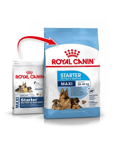 Royal Canin Maxi Starter Mother & Babydog gestatie/ lactatie pui hrana uscata caine 15 kg