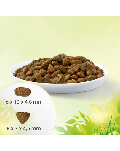 PERFECT FIT Natural Vitality Hrana uscata pentru pisici adulte, cu pui si curcan 2,4 kg